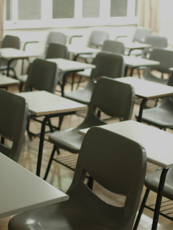 Enseignement